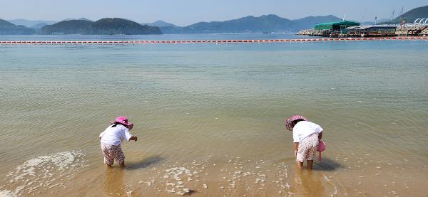 광암해수욕장 현장체험학습